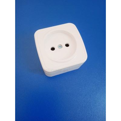 Розетка 2П ОУ 10А IP20 (Белая) TDM "Дача"