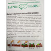 Семена: Капуста "Июньская" белокачанная 0,5г (ранняя)