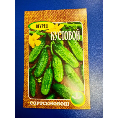 Семена: Огурец "Кустовой" (Сортсемовощ)
